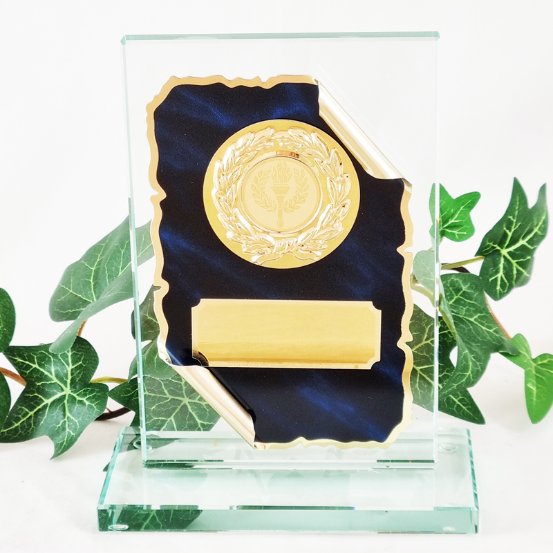 Lasiplaketti W511-G191